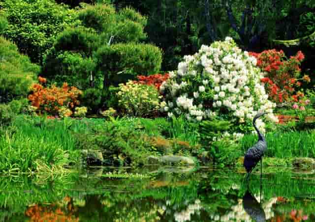 商业银行贷款公积金