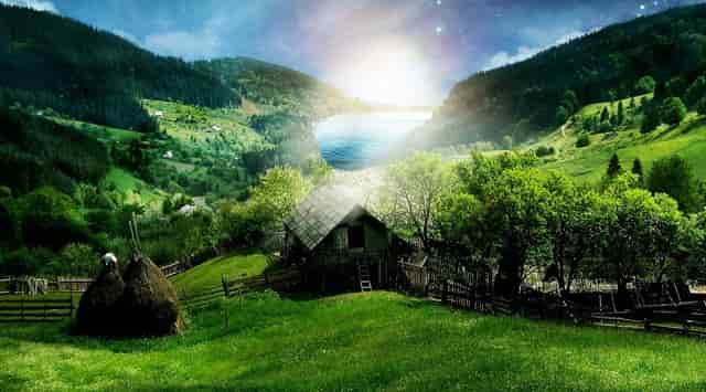 全国病例确诊情况