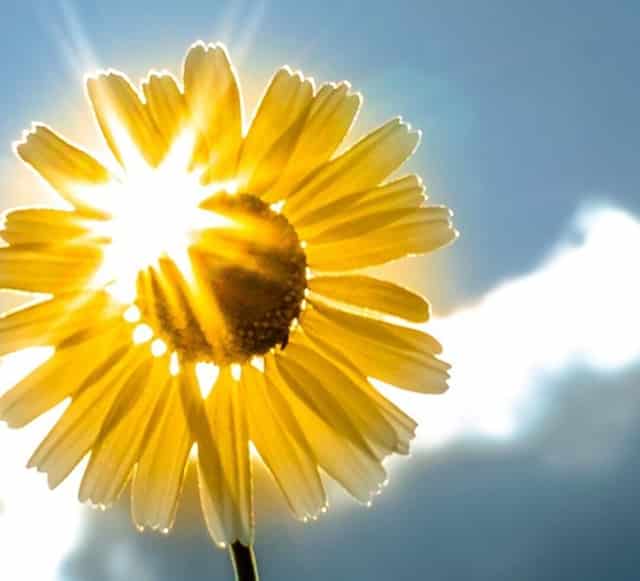 安徽蚌埠徽州宴老板娘致歉信