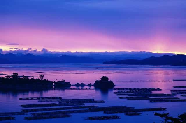 莱州中考分数线2021年公布