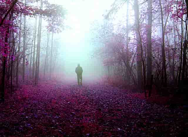 区域与城市治理