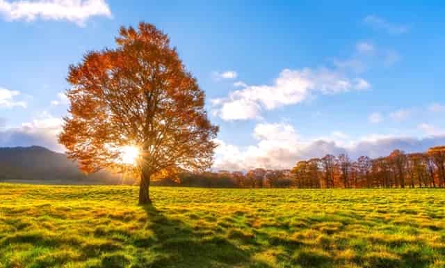 高中录取最低分数线是怎么定的